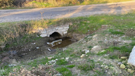 Boş arazide bebek cesedi bulundu