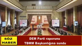 DEM Parti raporunu  TBMM Başkanlığına sundu