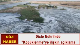 Dicle Nehri'nde  
