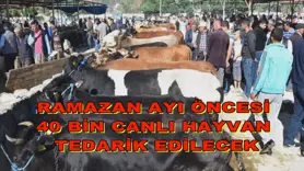 Ramazan ayı öncesi 40 bin canlı hayvan tedarik yapılacak