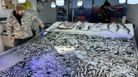 Hava muhalefeti balık avcılığını ve fiyatları olumsuz etkiliyor