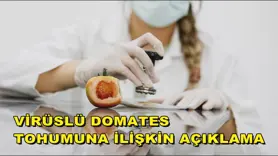 Bakan Yumaklı'dan virüslü domates tohumuna ilişkin açıklama