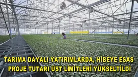 Üst limitler yükseltildi