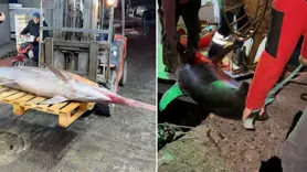 Yakaladığı 100 kilogramlık kılıç balığını 40 bin TL'ye sattı