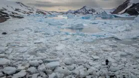 Antarktika'da insanların su ekosistemlerine etkileri