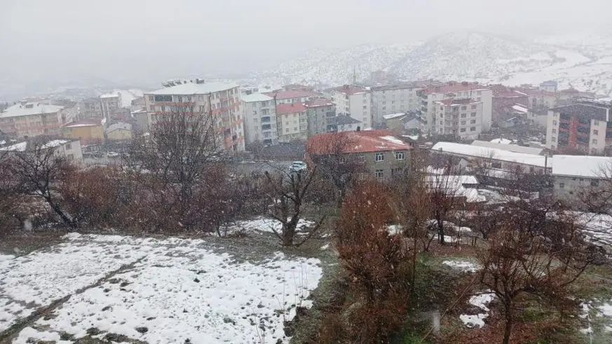 Kulp’ta yağmur yerini kar yağışına bıraktı