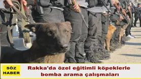 Rakka'da özel eğitimli köpeklerle  bomba arama çalışmaları