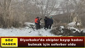 Diyarbakır'da ekipler kayıp kadını  bulmak için seferber oldu