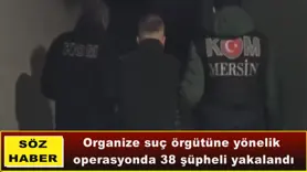 Organize suç örgütüne yönelik  operasyon