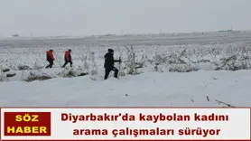 Diyarbakır'da kaybolan kadını  arama çalışmaları sürüyor