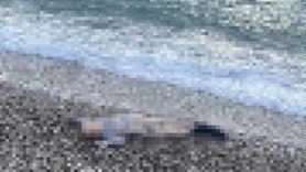 İzmir’de deniz kıyısında çocuk cesedi