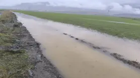 Tarım arazileri su altında kaldı