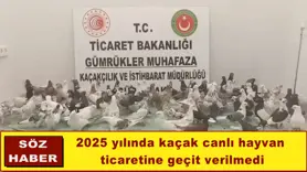 2025 yılında kaçak canlı hayvan  ticaretine geçit verilmedi