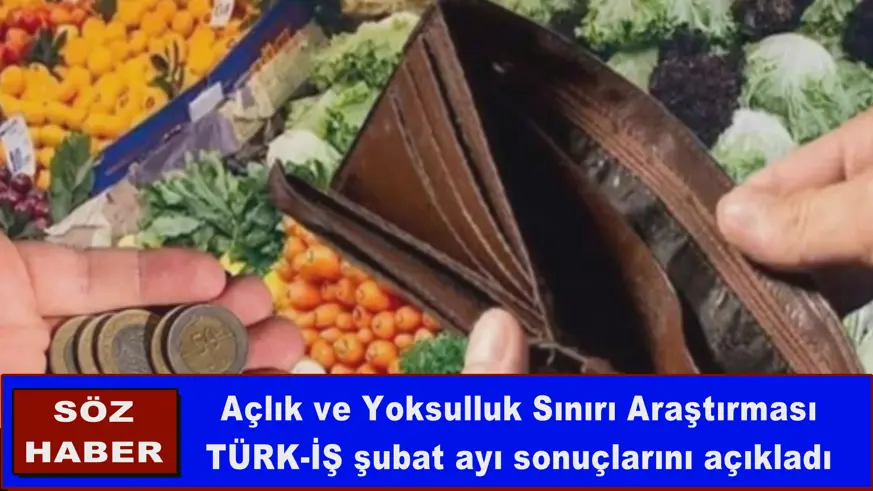 Açlık ve Yoksulluk Sınırı Araştırması