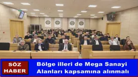 Bölge illeri de Mega Sanayi  Alanları kapsamına alınmalı