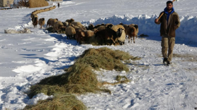 Besicilerin karda zorlu mesaisi sürüyor