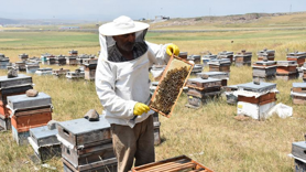 Diyarbakır'da depremzede üreticiler devlet desteğiyle hayvan sayısını artırdı