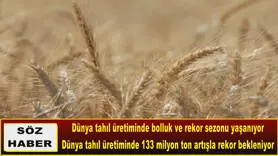 133 milyon ton artışla rekor bekleniyor